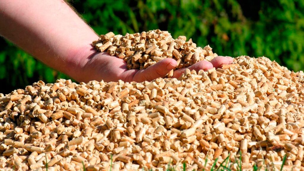 Ayudas a la Biomasas en 2020