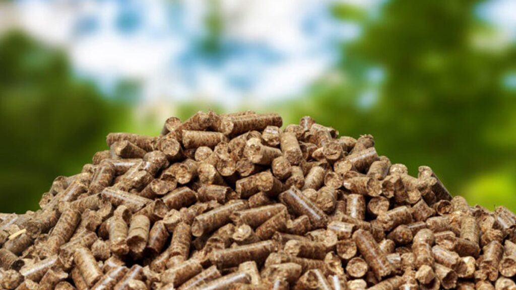 diseño ecologico calderas de biomasa