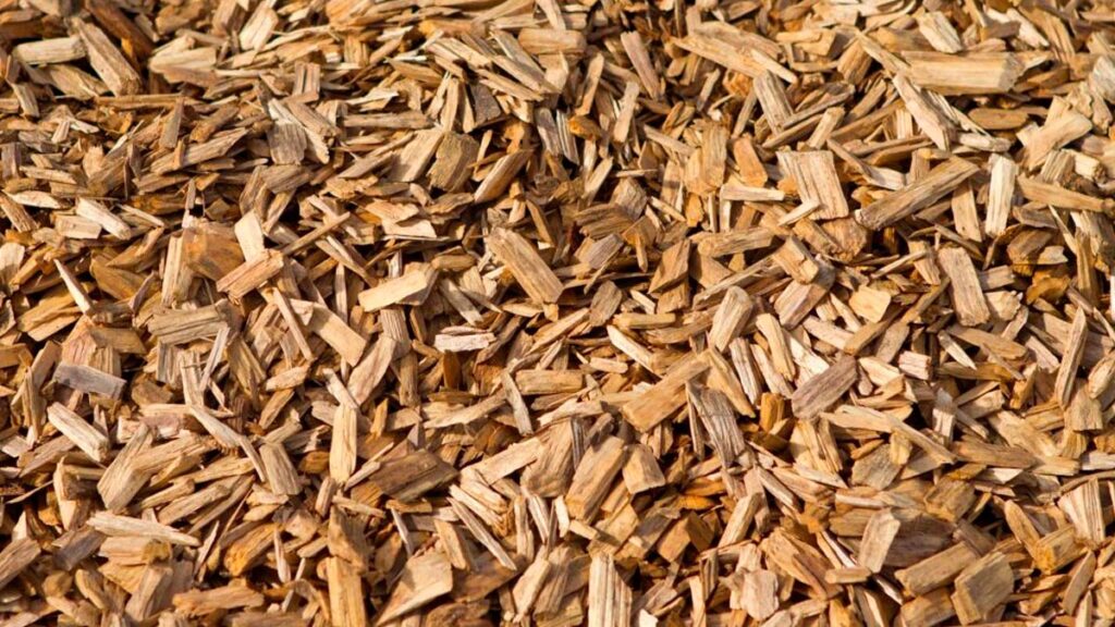 soluciones de biomasa