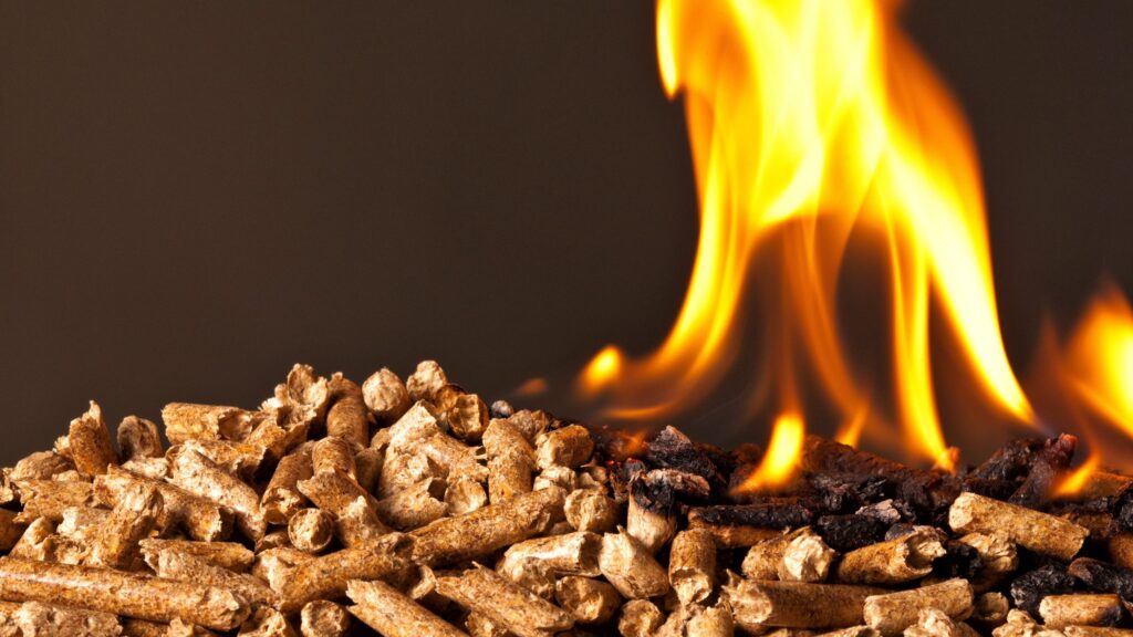 biomasa energía renovable