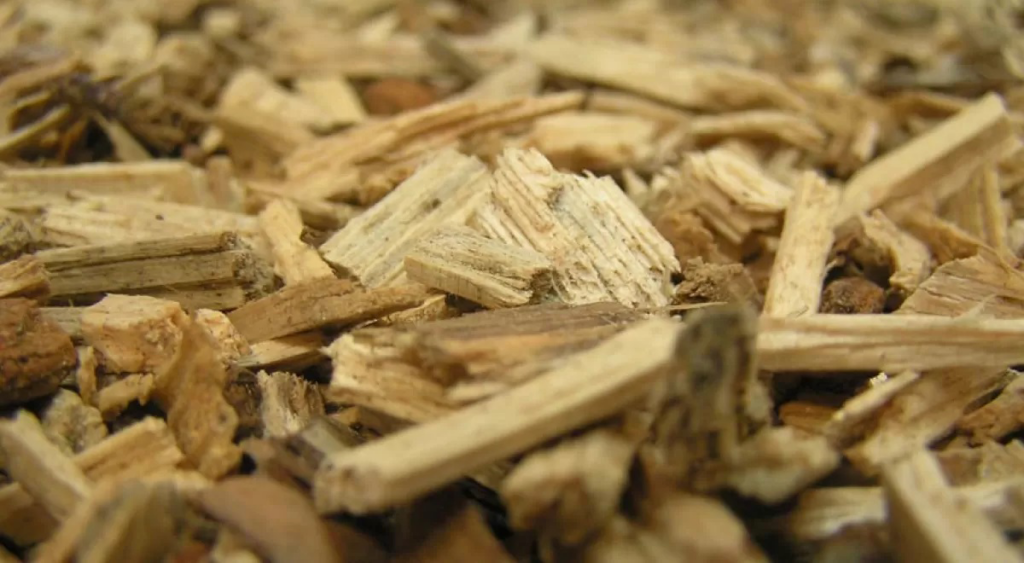 generacion energia con biomasa | Erbia Energy