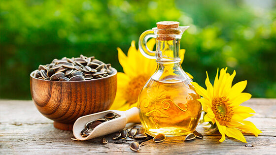 combustible aceite de girasol