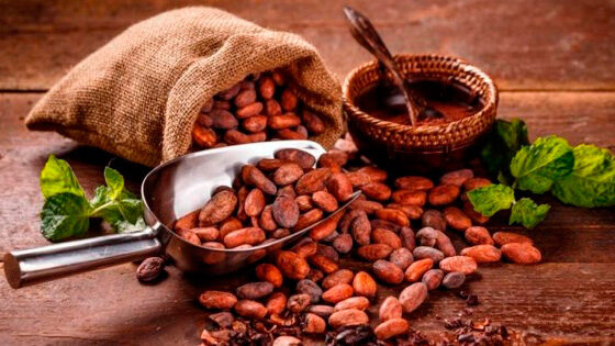 combustible cacao