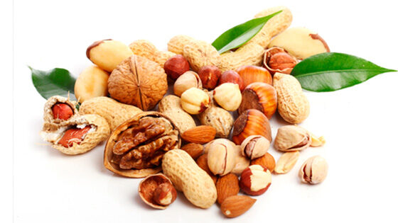 combustible frutos secos